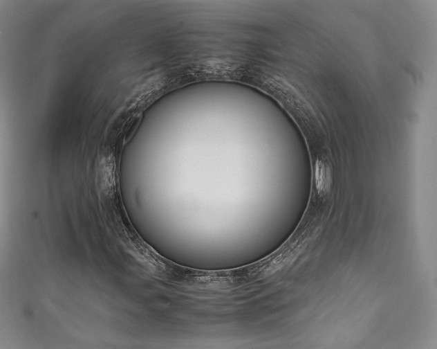X0000111141107200906301224
