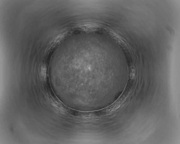 X0000111141108200906301224