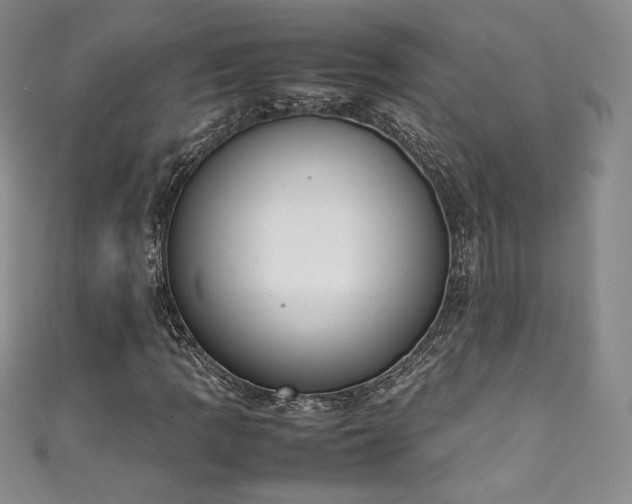 X0000111141109200906301224