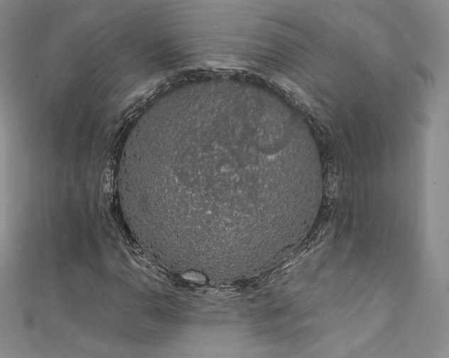 X0000111141110200906301224