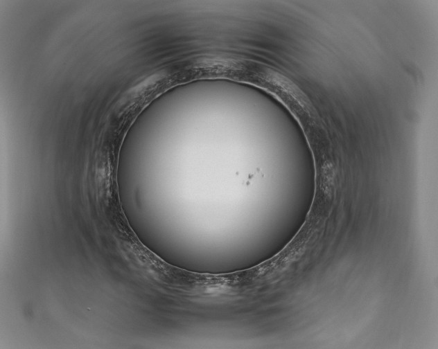 X0000111141111200906301224
