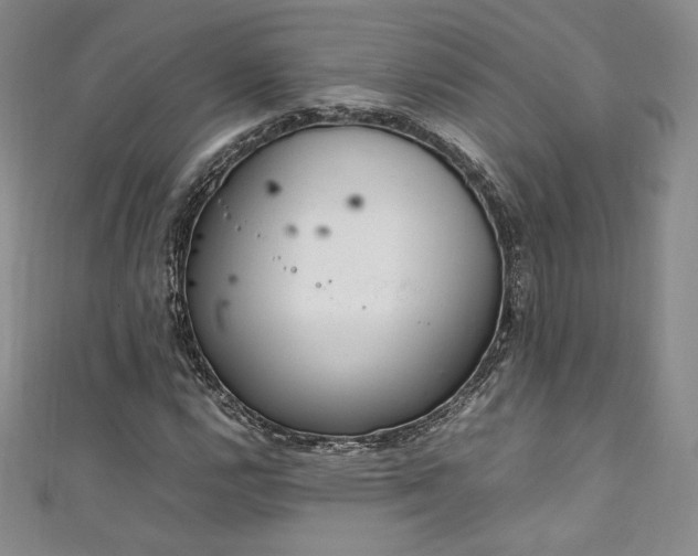 X0000111141112200906301224