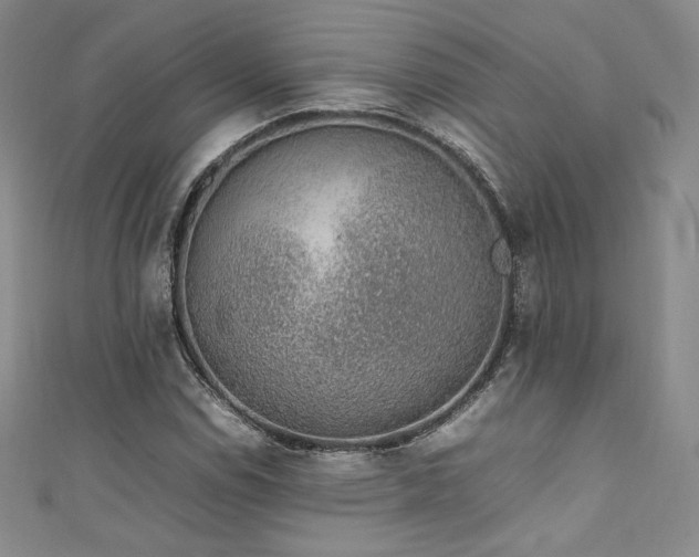 X0000111141114200906301225