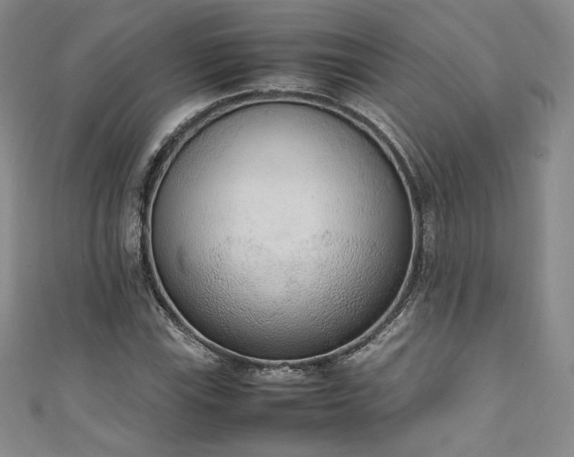 X0000111141115200906301225