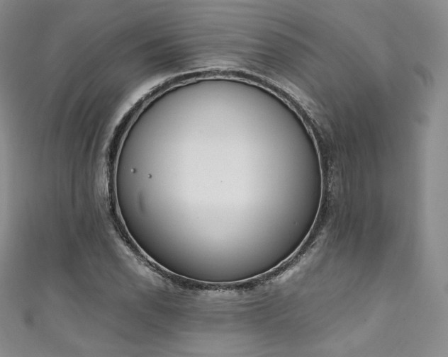 X0000111141118200906301225