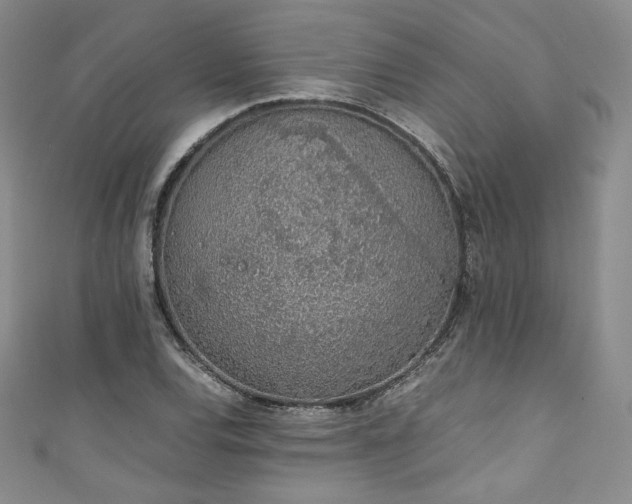 X0000111141120200906301225