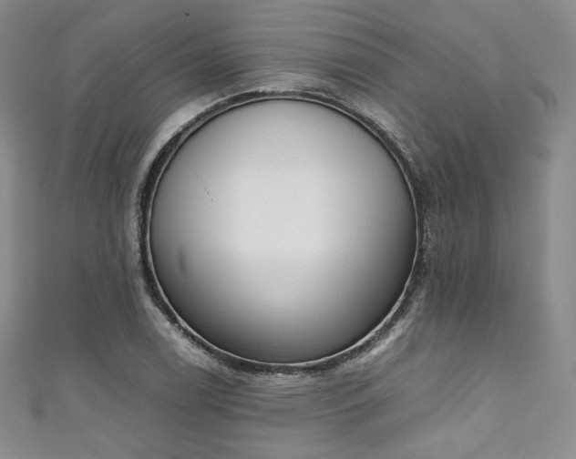 X0000111141122200906301225