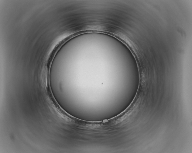 X0000111141123200906301225
