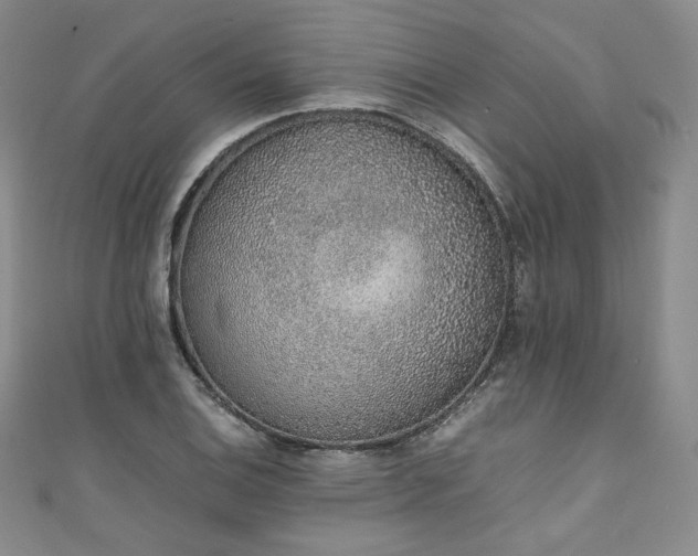 X0000111141124200906301225