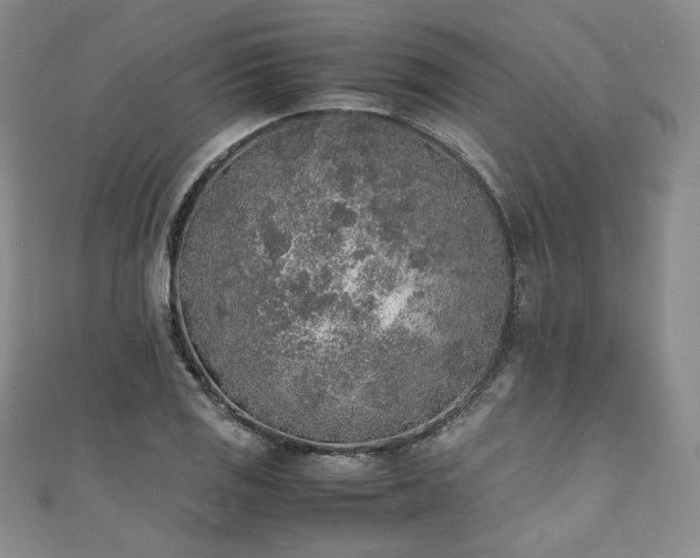 X0000111141125200906301225