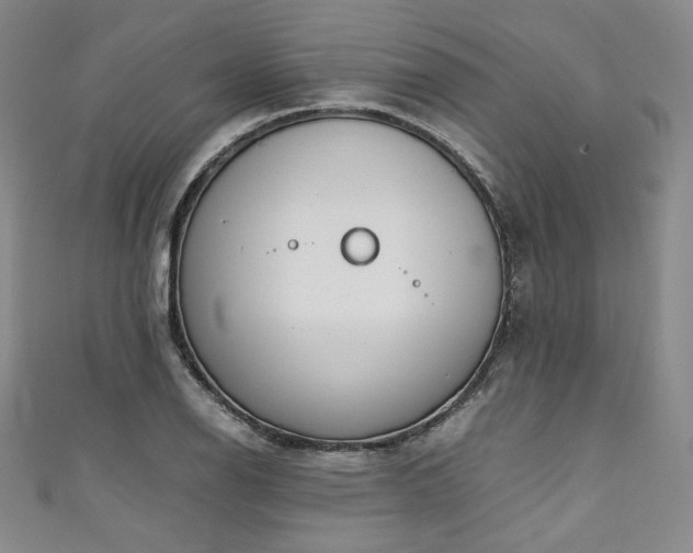 X0000111141126200906301225