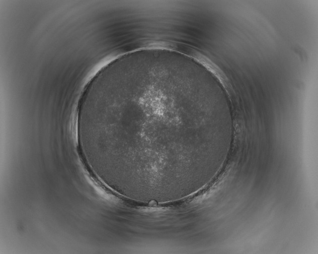 X0000111141127200906301225