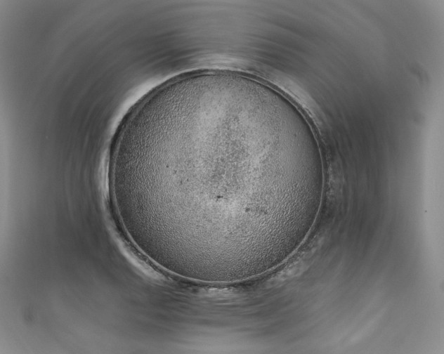 X0000111141128200906301225