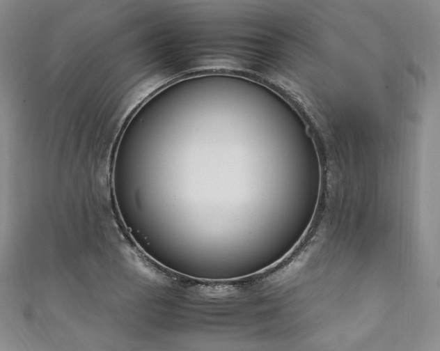 X0000111141129200906301225