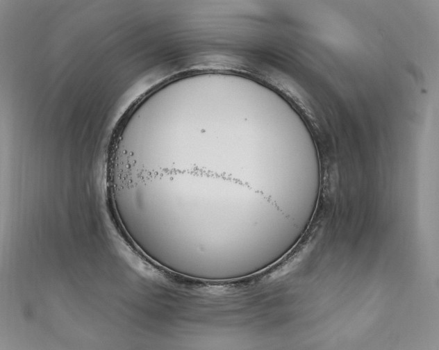 X0000111141130200906301225