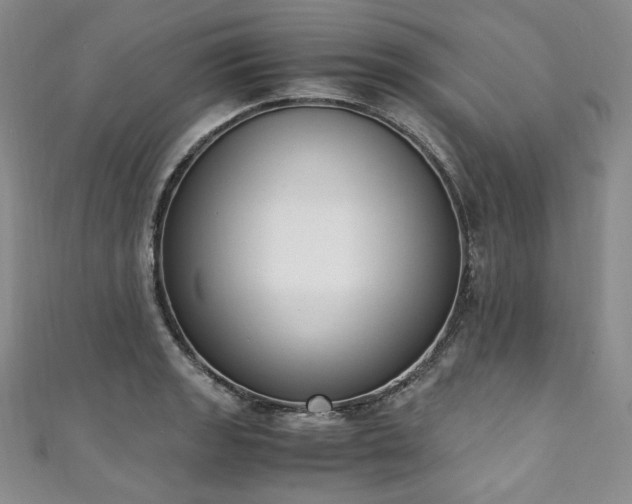 X0000111141133200906301225