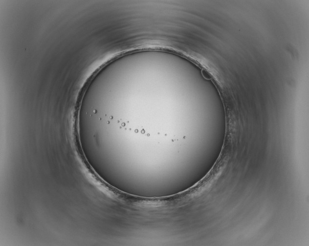 X0000111141134200906301225