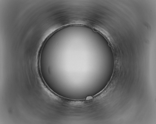 X0000111141135200906301225