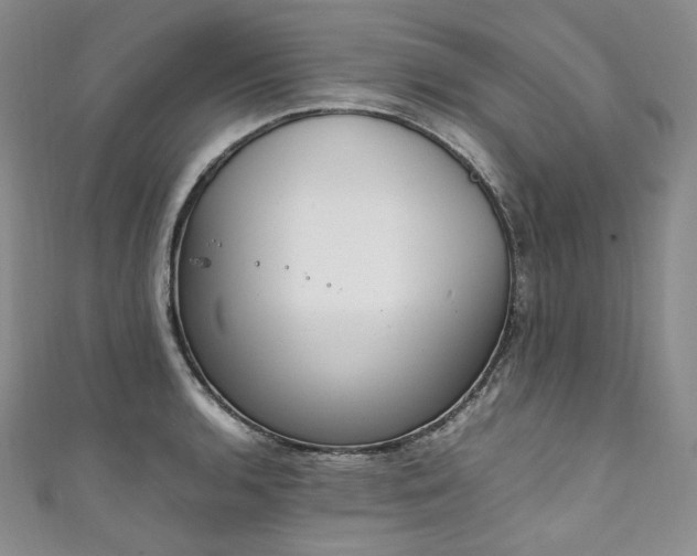 X0000111141136200906301225