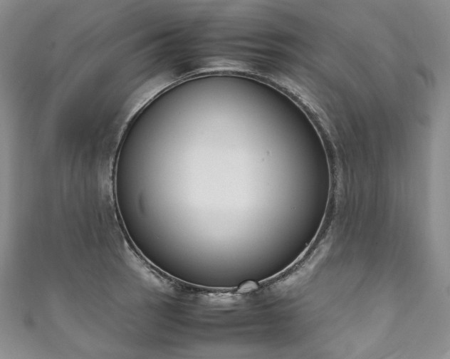 X0000111141137200906301225