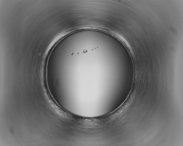 X0000111141138200906301225