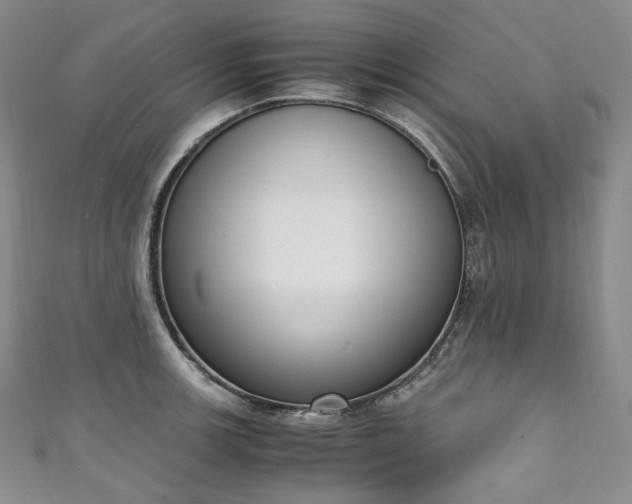 X0000111141139200906301225