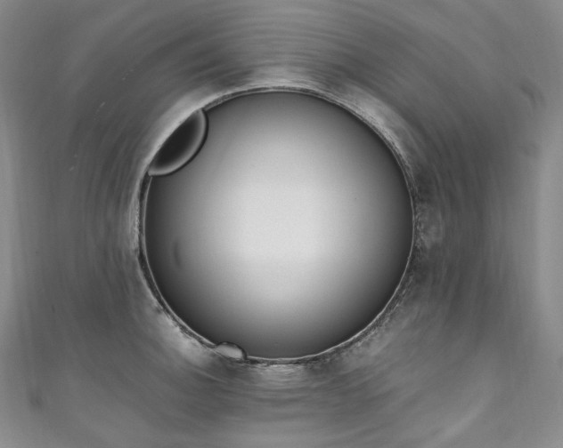 X0000111141140200906301225