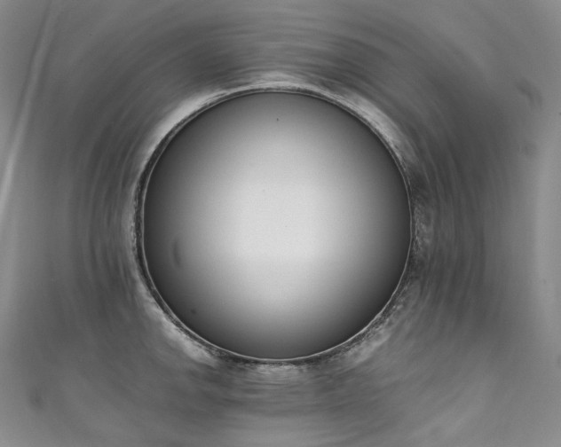 X0000111141142200906301225