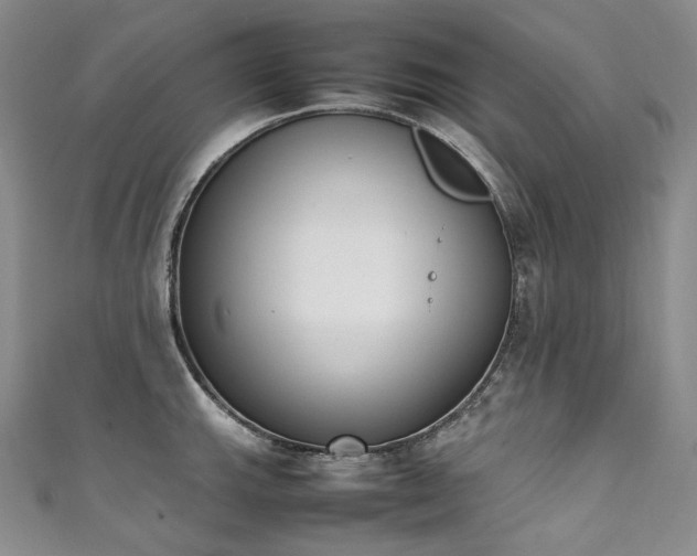 X0000111141143200906301225