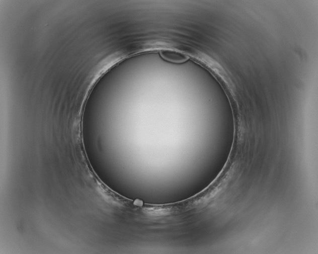 X0000111141145200906301225