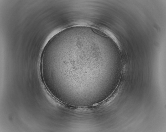 X0000111141146200906301225