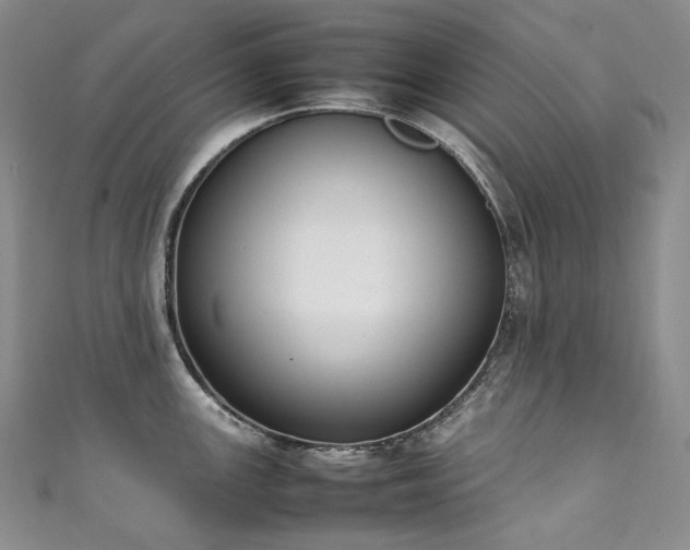 X0000111141147200906301225