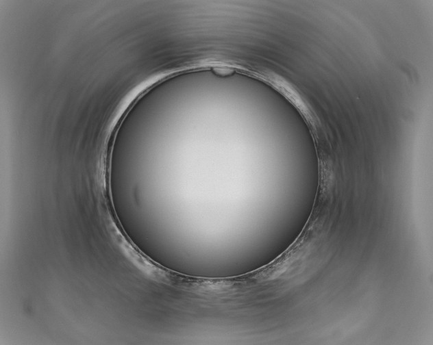 X0000111141148200906301225