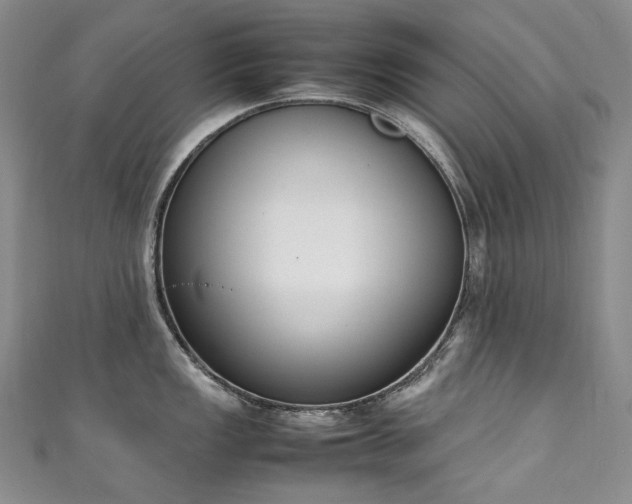 X0000111141149200906301225