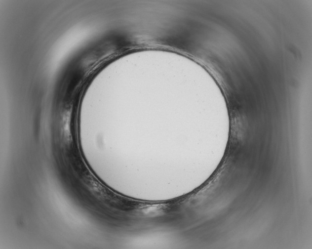 X0000111141150200906301225