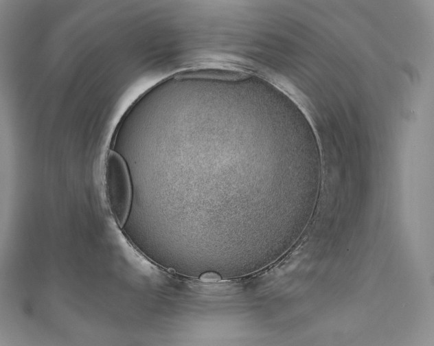 X0000111141152200906301225