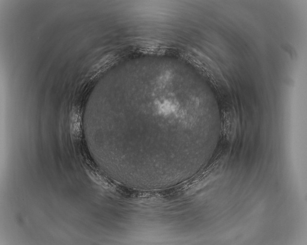 X0000111141154200906301224