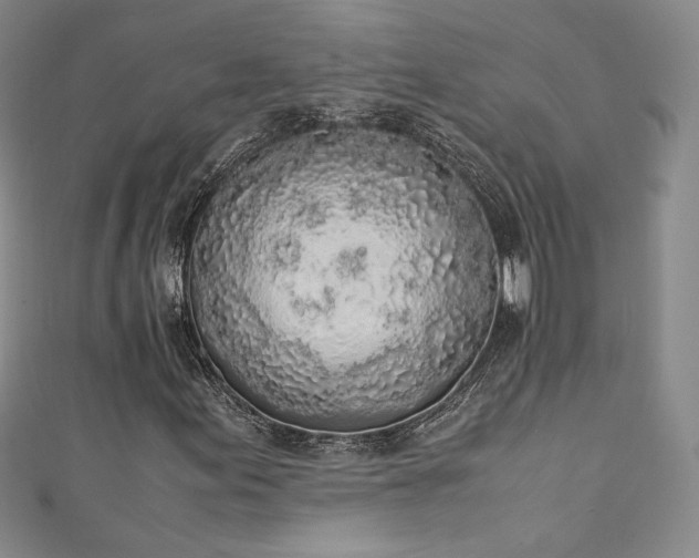 X0000111141155200906301224