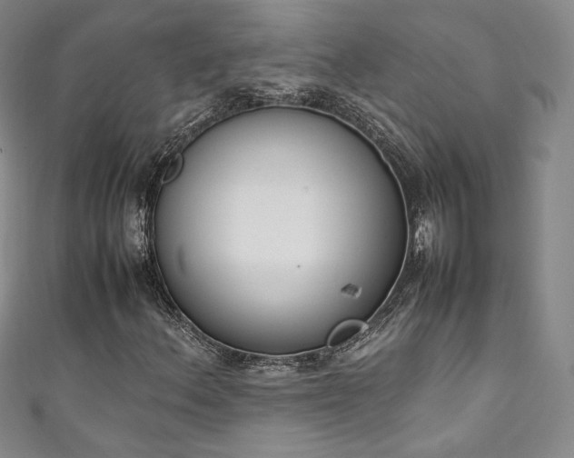 X0000111141156200906301224