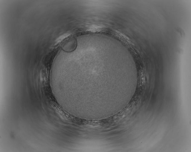 X0000111141158200906301224
