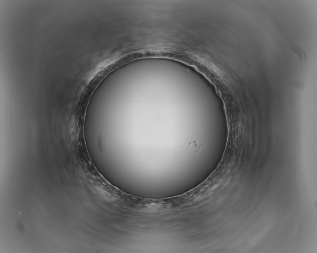 X0000111141160200906301224
