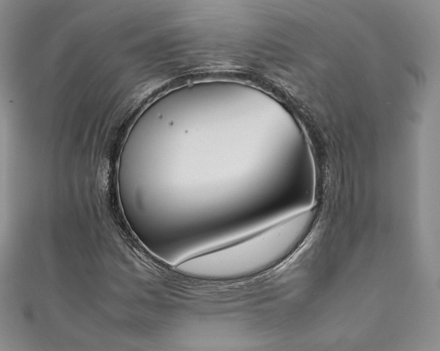 X0000111141161200906301224