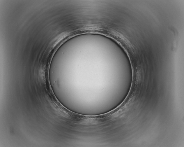 X0000111141162200906301224