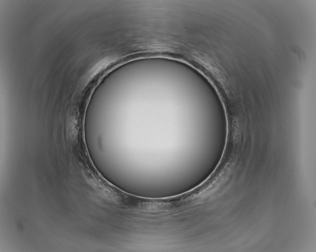 X0000111141163200906301224