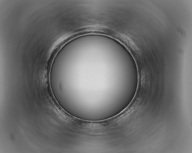 X0000111141164200906301224
