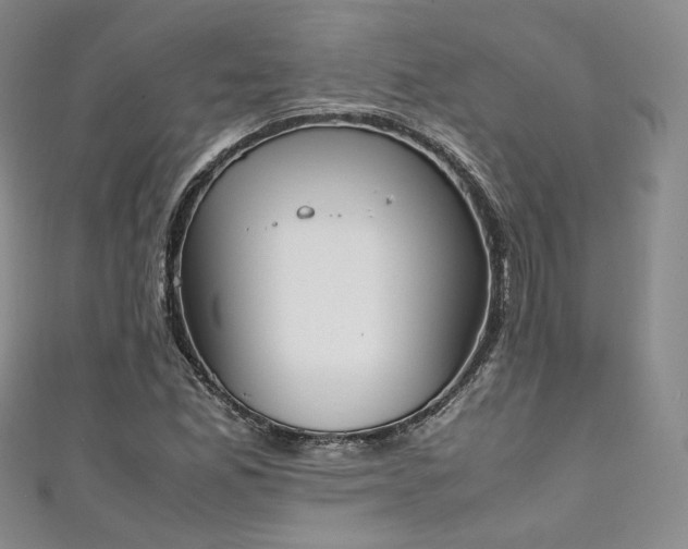 X0000111141165200906301224