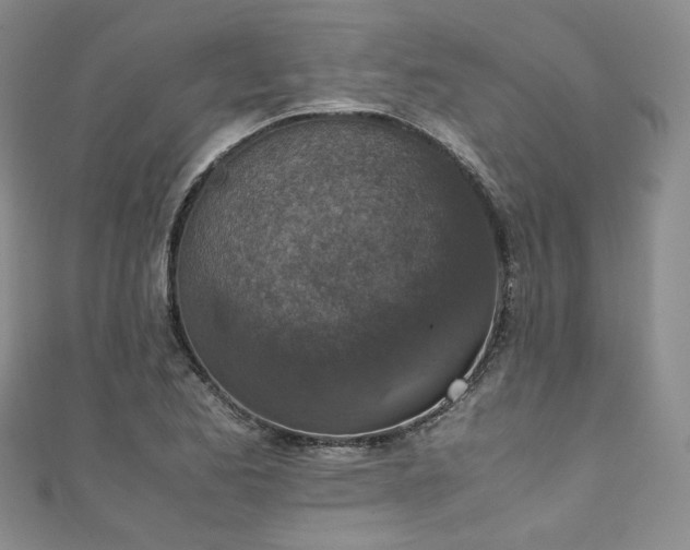 X0000111141173200906301224