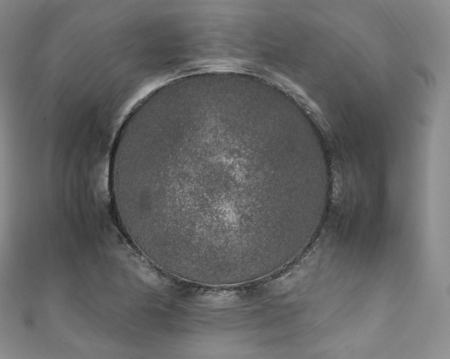 X0000111141174200906301224