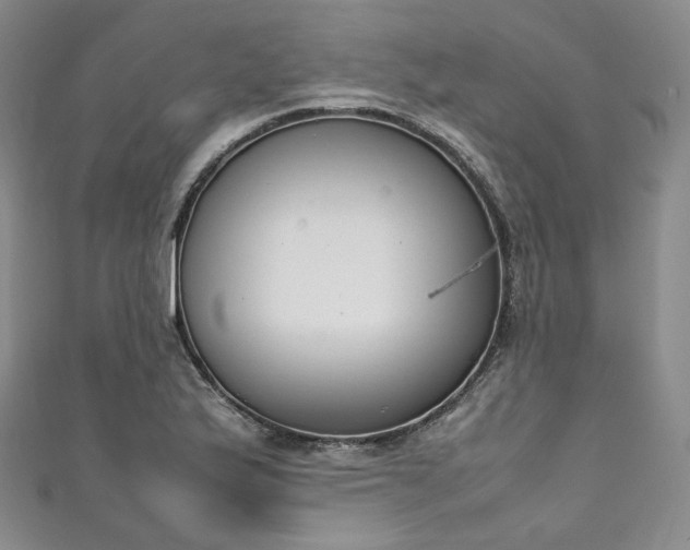 X0000111141175200906301224