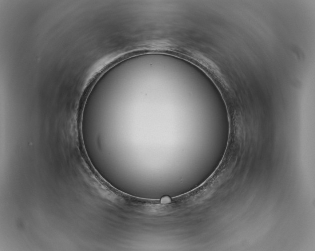 X0000111141176200906301224